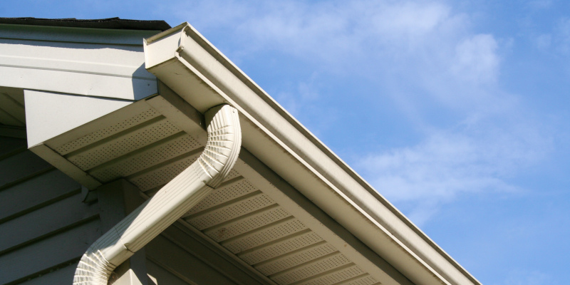 Gutter Cleaning Services in Macon, Georgia
